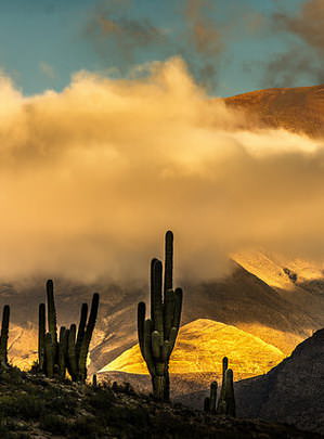 DISCOVER HUMAHUACA GORGE tour to humahuaca