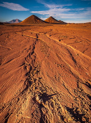 DISCOVER THE ANDEAN HIGHLAND tour to puna